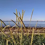 度假居 10 Person In Ronde-by Traum